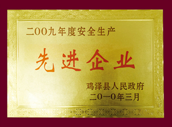 2009年度安全生產先進企業